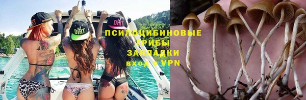 героин Алексин