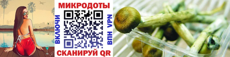 ссылка на мегу ссылки  Пушкино  Галлюциногенные грибы Psilocybine cubensis 